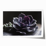 Vibrant botanical wall art print showcasing an intricate design of succulents and flowers, perfect for home decor, rolled and ready for framing.