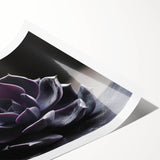 Botanical wall art print showcasing a vibrant collection of succulents in various colors, rolled neatly for easy framing and display, enhancing home decor aesthetics.