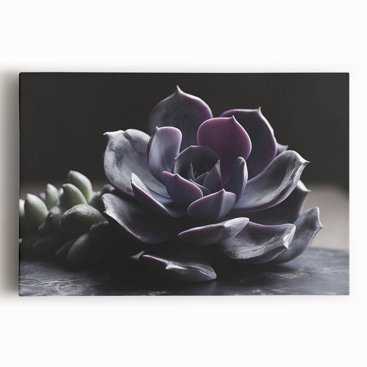 Succulent-themed wall art featuring a vibrant arrangement of botanical flowers and greenery on stretched canvas, ideal for home decor and nature lovers.