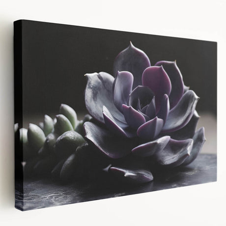 Stretched canvas wall art showcasing a vibrant botanical design of assorted succulents and flowers, ideal for modern home decor, displayed from a side view.