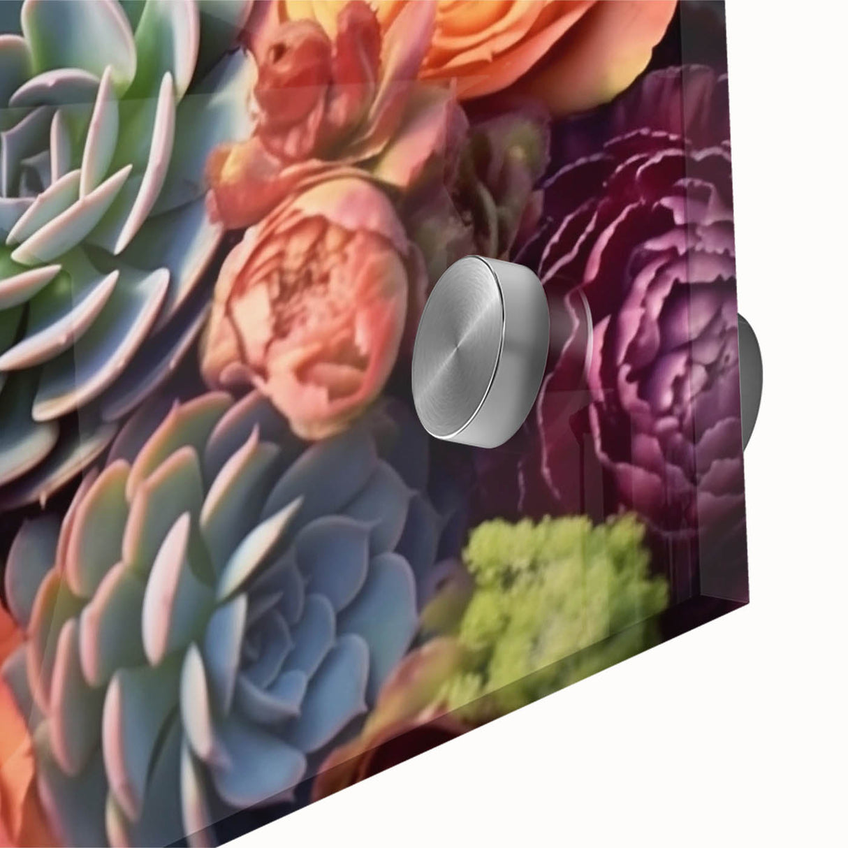 Close-up of a vibrant botanical wall art piece featuring an array of colorful succulents, designed with acrylic glass for a modern aesthetic, perfect for home decor.