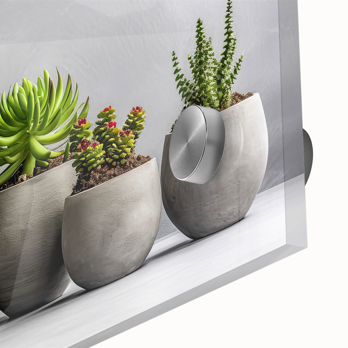 Close-up of a botanical wall art design featuring vibrant succulents in a modern acrylic glass frame, perfect for home decor and plant lovers.