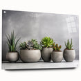 Botanical wall art collection featuring a side view of acrylic glass display with colorful succulent designs, pinned to a white wall background, ideal for modern decor.