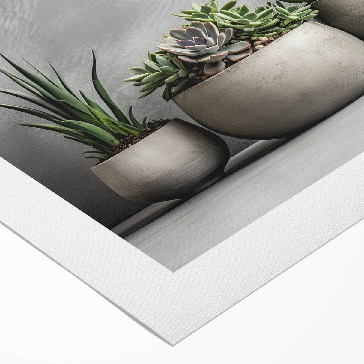 Vibrant botanical wall art featuring an array of colorful succulents in a contemporary design, ideal for home decor and plant enthusiasts, rolled canvas ready for display.