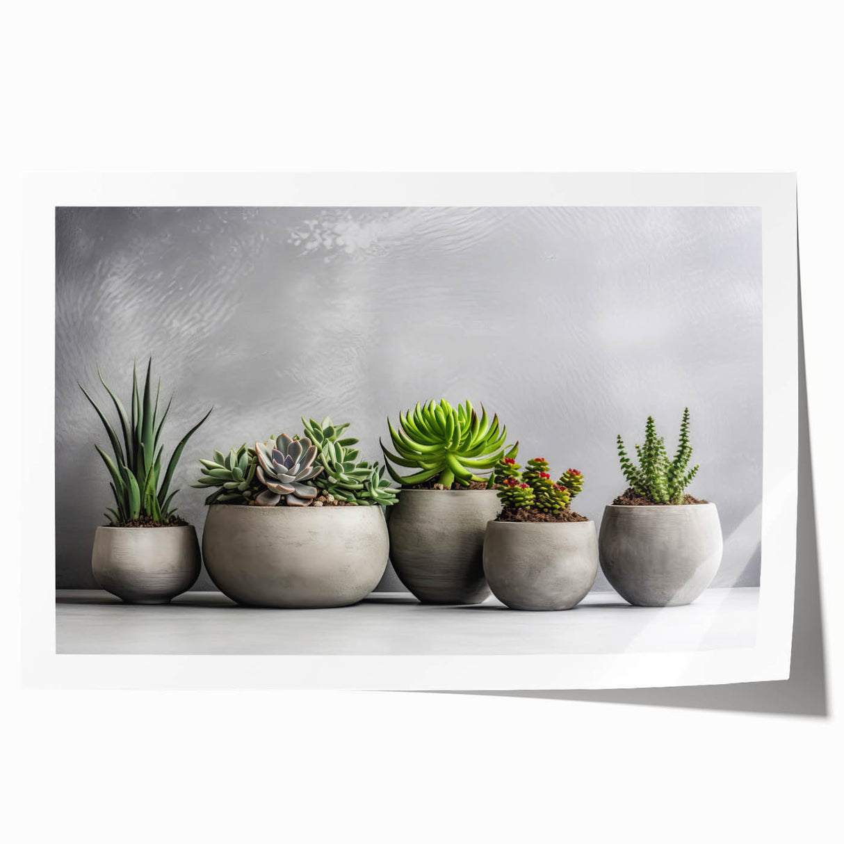 Colorful botanical wall art print featuring an array of succulents and flowers, rolled and ready for framing, ideal for home decor enthusiasts.