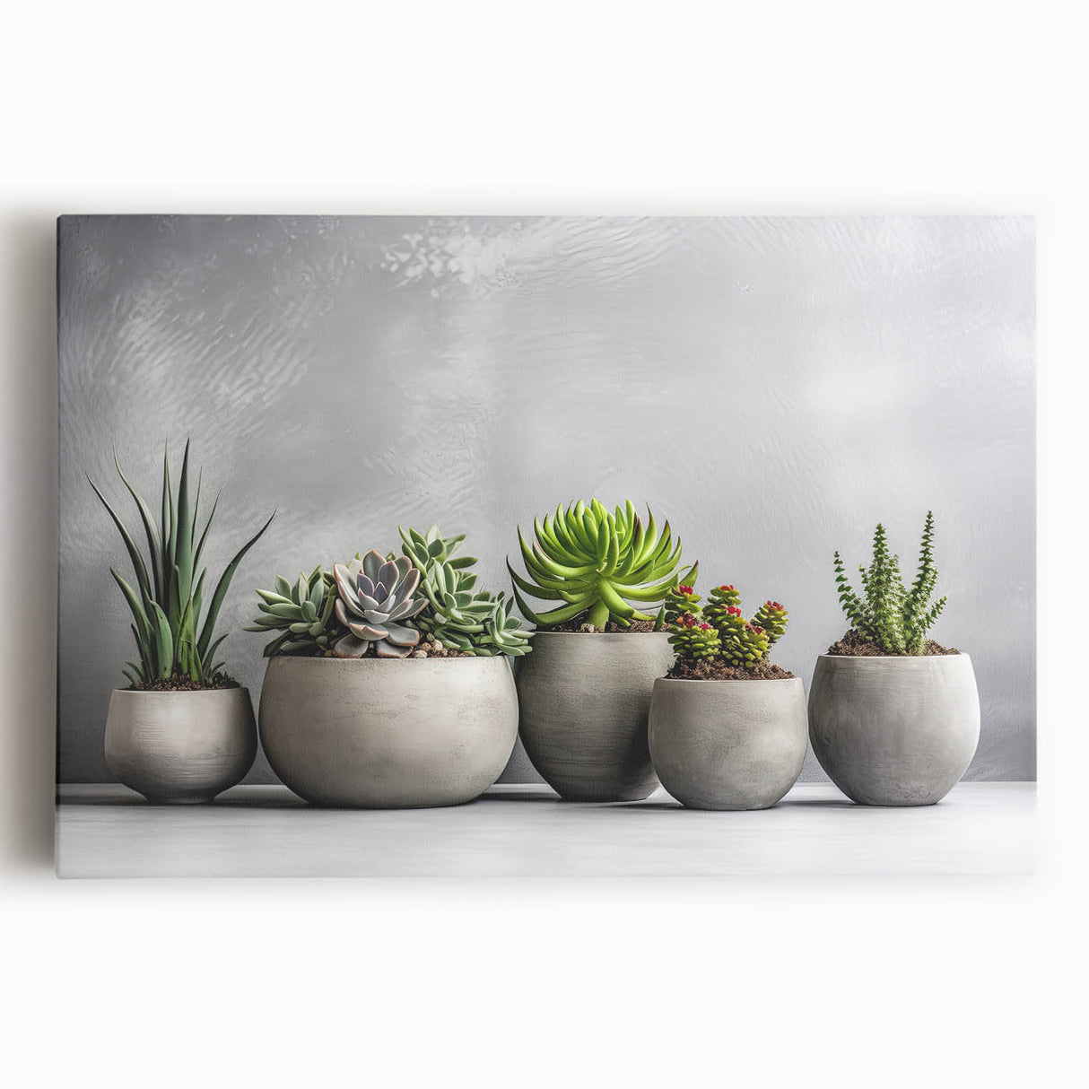 Vibrant botanical wall art featuring a collection of colorful succulents, printed on stretched canvas with a gallery-ready frame, perfect for home decor.