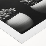 Vibrant wall art featuring an intricate design of various botanical succulents, printed on rolled canvas, perfect for adding a touch of nature to any space.