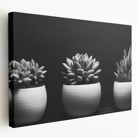 Stretched canvas wall art featuring a botanical design of vibrant succulents in an array of colors, ideal for enhancing home decor with a natural touch. Perfect for plant enthusiasts and modern interiors.