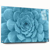 Succulent-themed wall art collection displayed in a side view, featuring vibrant botanical illustrations on acrylic glass, secured with decorative pins for a modern touch.