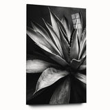 Acrylic glass wall art collection showcasing a botanical design of vibrant succulents, viewed from the side, ideal for modern home decor and nature enthusiasts.