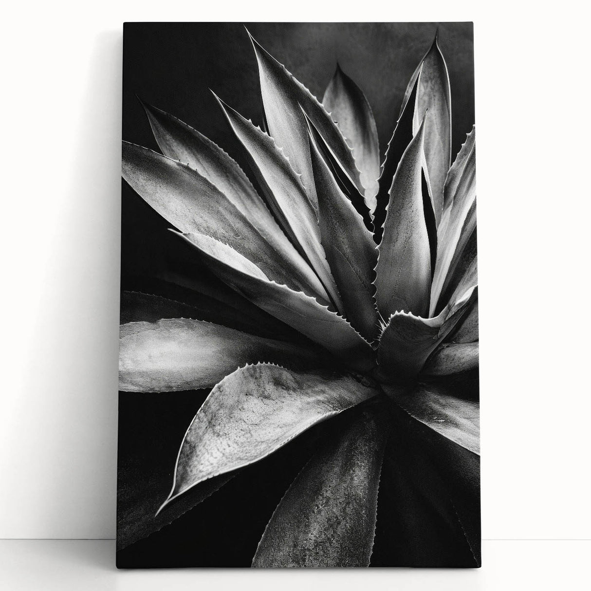 Succulent-themed botanical wall art collection on stretched canvas, showcasing vibrant green hues and intricate details, perfect for home decor enhancement.