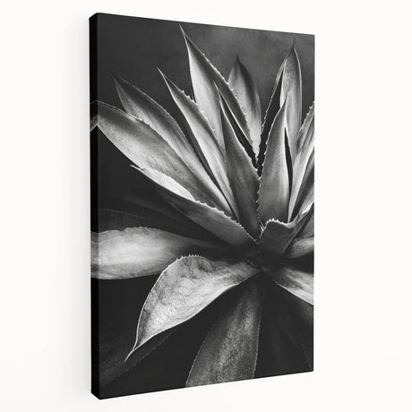 Stretched canvas featuring a botanical design of vibrant succulents, showcasing intricate details and rich colors, perfect for enhancing home decor.