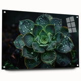 Succulent-themed wall art design in acrylic glass, showcasing an elegant side view with pins. Ideal for botanical decor enthusiasts, adding a touch of nature.