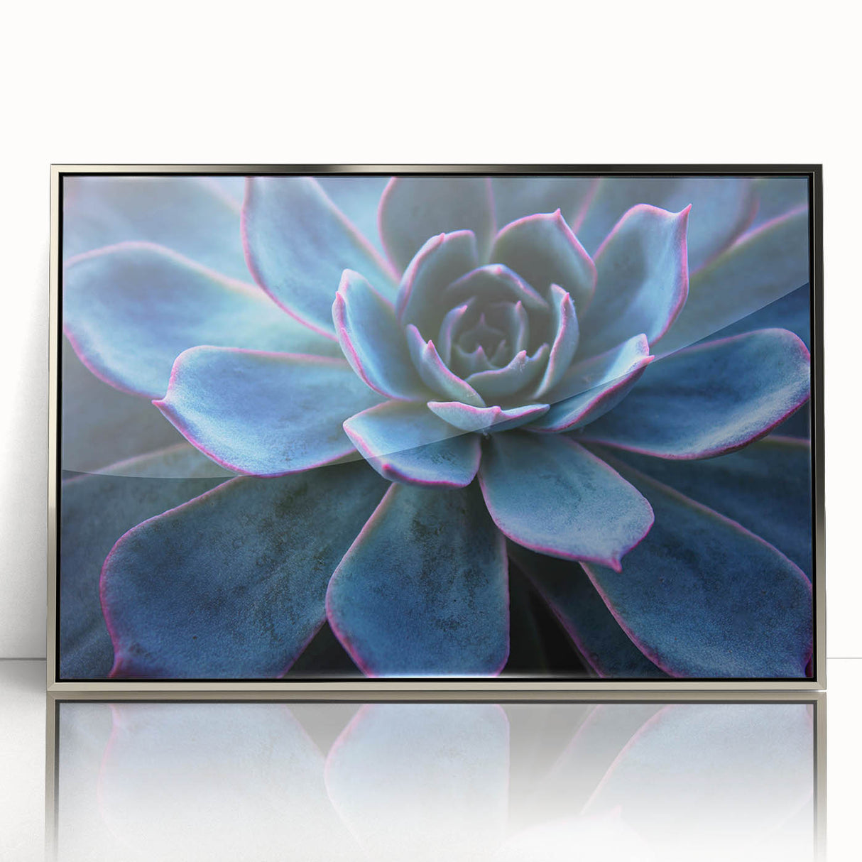 Framed wall art showcasing a vibrant botanical design of succulent plants, set in a sleek silver frame, ideal for enhancing modern home decor.