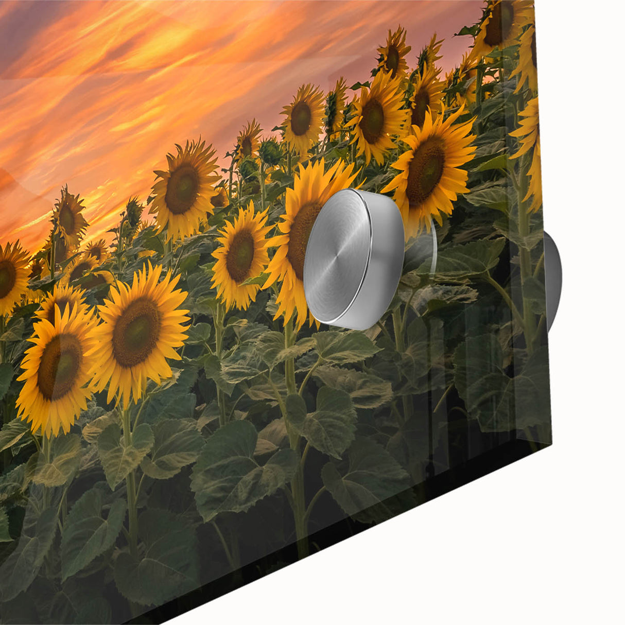 Close-up of a vibrant sunflower wall art piece, showcasing intricate botanical details and rich colors, perfect for brightening home decor and adding a natural touch.