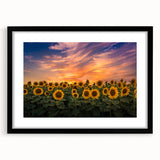 Black-framed botanical wall art featuring a vibrant sunflower design, elegantly displayed with a mat, perfect for home decor or gift-giving.