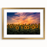 Framed botanical wall art featuring a vibrant sunflower design with a gold mat, perfect for home decor, adding a touch of nature and elegance to any room.