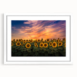 Botanical wall art featuring a vibrant sunflower design in a sleek white frame with a mat, showcasing detailed petals and bright colors, perfect for home decor.