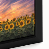 Close-up of a vibrant, framed sunflower botanical wall art piece, showcasing intricate petal details and rich yellow hues, perfect for home decor.