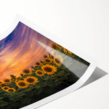 Bright yellow sunflower wall art print showcasing intricate botanical details, rolled and ready for display, perfect for adding a cheerful touch to home decor.