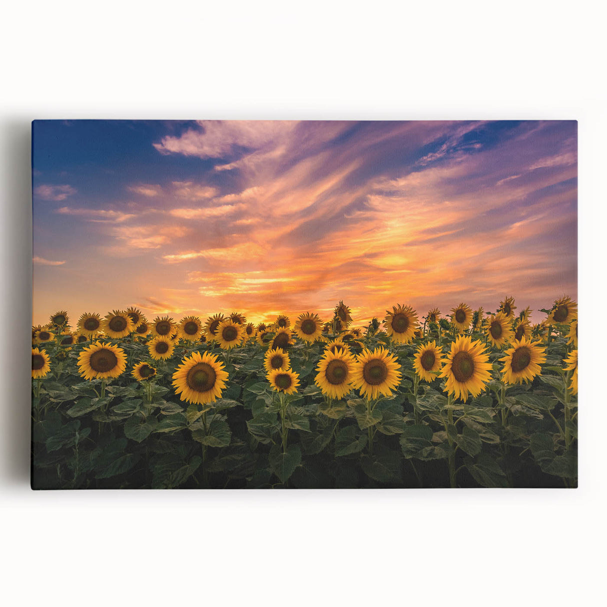 Vibrant botanical wall art featuring a detailed sunflower design on stretched canvas, showcasing rich yellows and greens, perfect for home decor enhancement.