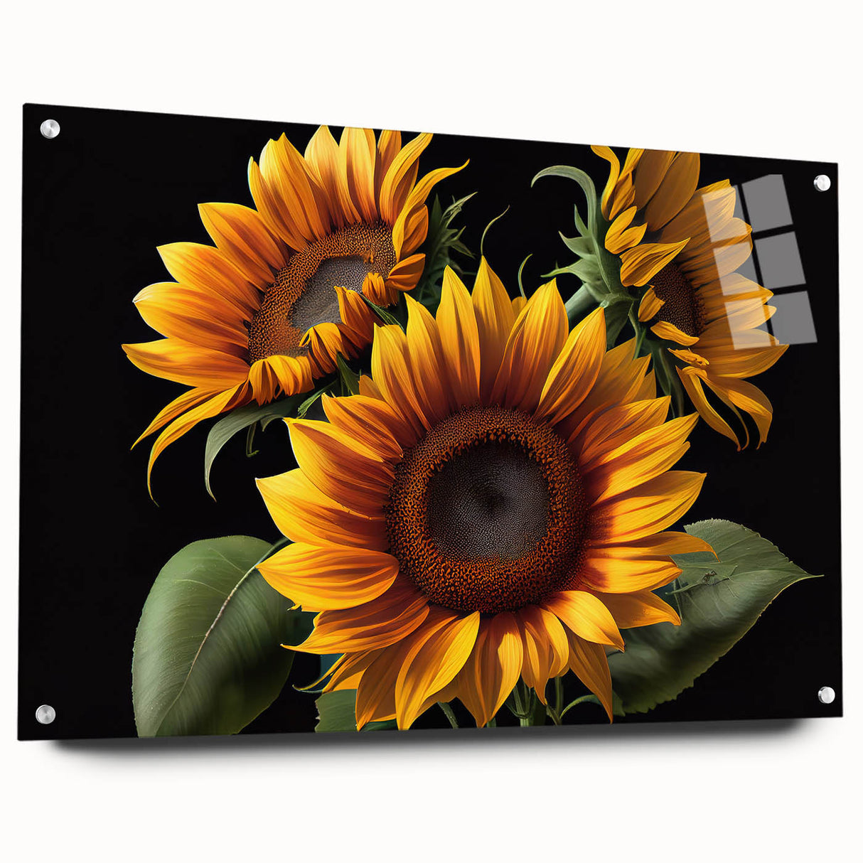 Acrylic glass wall art showcasing a vibrant sunflower botanical design, viewed from the side, highlighting its detailed texture and pin-mounting for display.