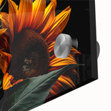 Close-up of a vibrant botanical wall art piece showcasing a detailed sunflower design, printed on acrylic glass, perfect for adding a touch of nature to home decor.