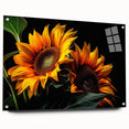 Acrylic glass wall art featuring a detailed botanical sunflower design, elegantly displayed with decorative pins, showcasing vibrant yellow petals and green leaves. Ideal for home decor enthusiasts seeking nature-inspired artwork.