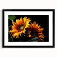 Framed botanical wall art featuring a vibrant sunflower design, with a sleek black frame and mat, perfect for brightening home decor or gallery spaces.