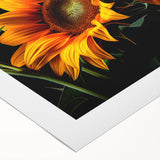 Bright and vibrant sunflower wall art design on rolled canvas, showcasing intricate botanical details and a textured surface, perfect for home decor.