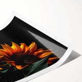 Vibrant botanical sunflower wall art print showcasing intricate details and bright yellow petals, rolled for easy display in a stylish decor setting.