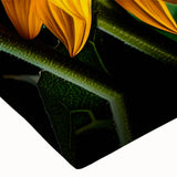 Close-up of vibrant sunflower wall art on stretched canvas, showcasing intricate petal details and rich yellow hues, perfect for adding a cheerful touch to home decor.