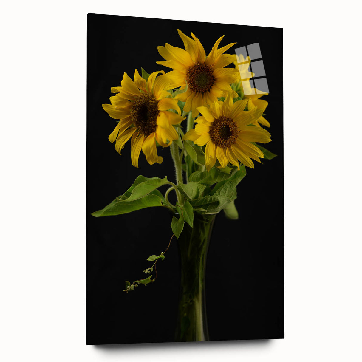 Acrylic glass wall art featuring a vibrant sunflower botanical design, showcasing rich yellow petals and lush green leaves, perfect for brightening any space.