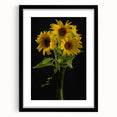 Botanical wall art collection featuring a framed sunflower design with a black matting, showcasing vibrant yellow petals set against a clean white background, ideal for home decor.