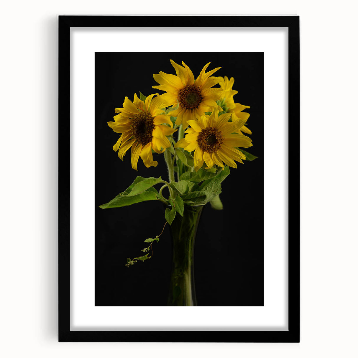 Botanical wall art collection featuring a framed sunflower design with a black matting, showcasing vibrant yellow petals set against a clean white background, ideal for home decor.