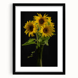 Botanical wall art collection featuring a framed sunflower design with a black matting, showcasing vibrant yellow petals set against a clean white background, ideal for home decor.
