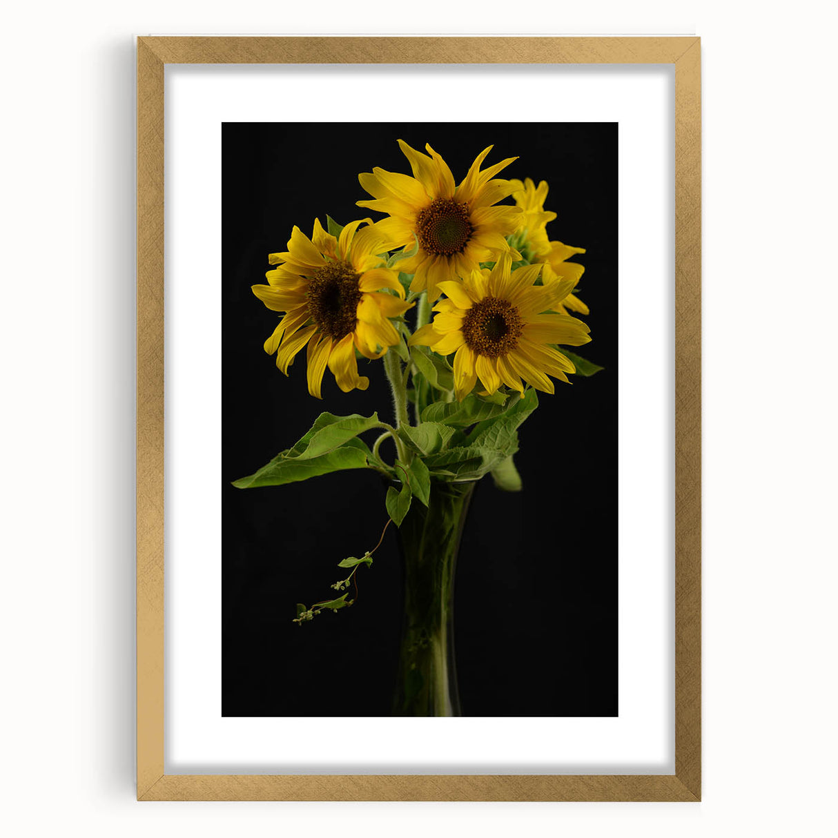 Botanical wall art featuring a vibrant sunflower design framed in elegant gold, showcasing intricate details and a mat border, perfect for home decor.