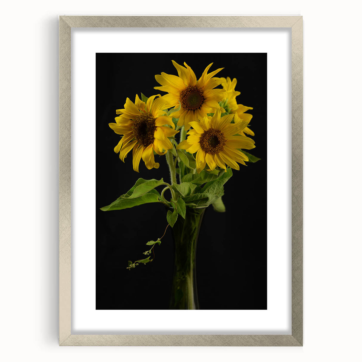 Botanical wall art collection showcasing a vibrant sunflower design in a sleek silver frame with a mat, perfect for home decor or gifts. Ideal for nature enthusiasts.