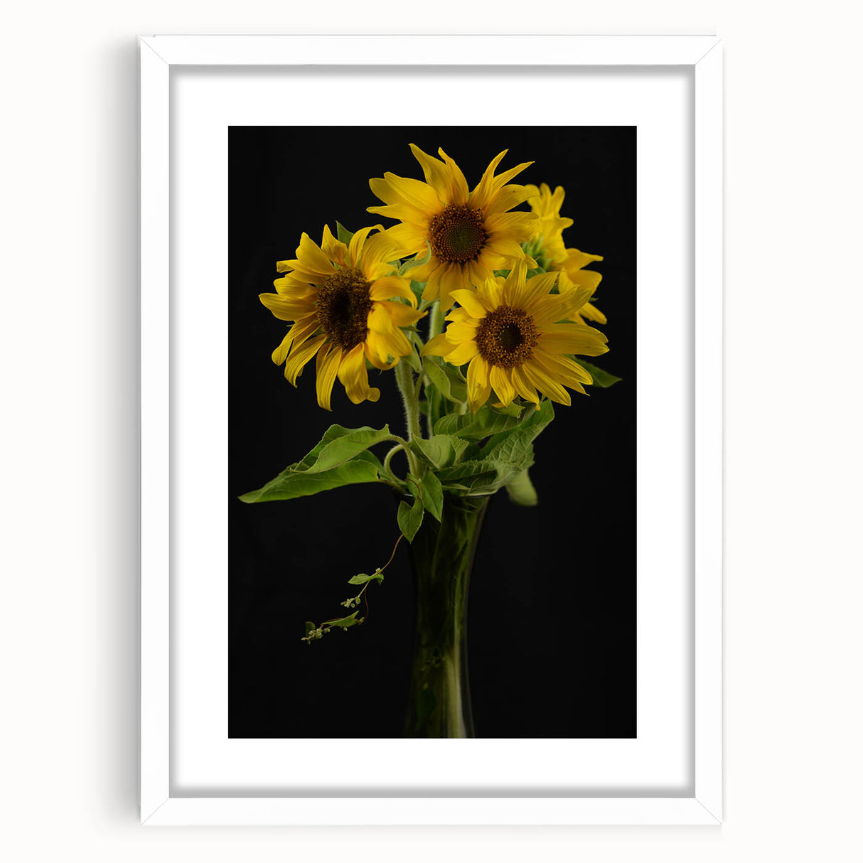 Framed botanical wall art featuring a vibrant sunflower design with a white mat, perfect for home decor, showcasing a modern aesthetic and natural beauty.