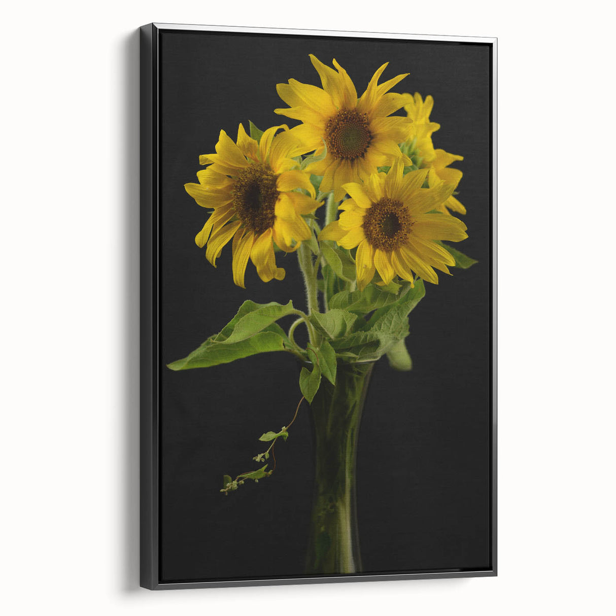 Framed canvas wall art showcasing a vibrant botanical sunflower design against a black background, viewed from the side, ideal for home decor and nature enthusiasts.