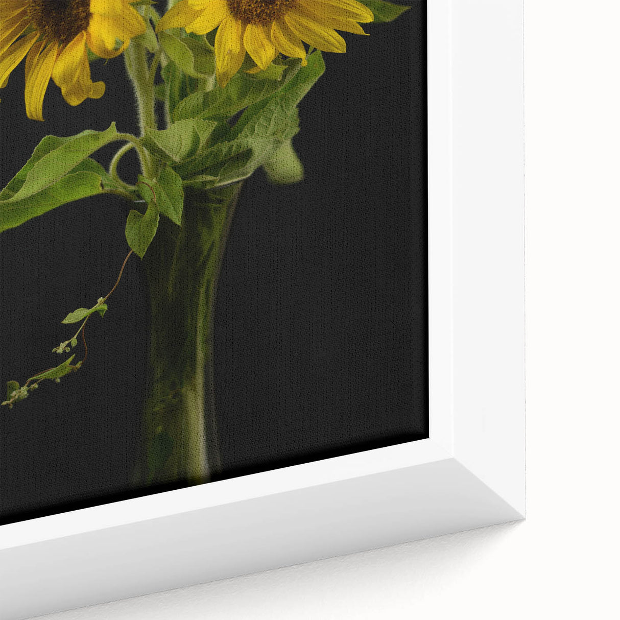 Close-up of a vibrant framed canvas showcasing a botanical sunflower design, featuring intricate details and rich colors, perfect for enhancing home decor.