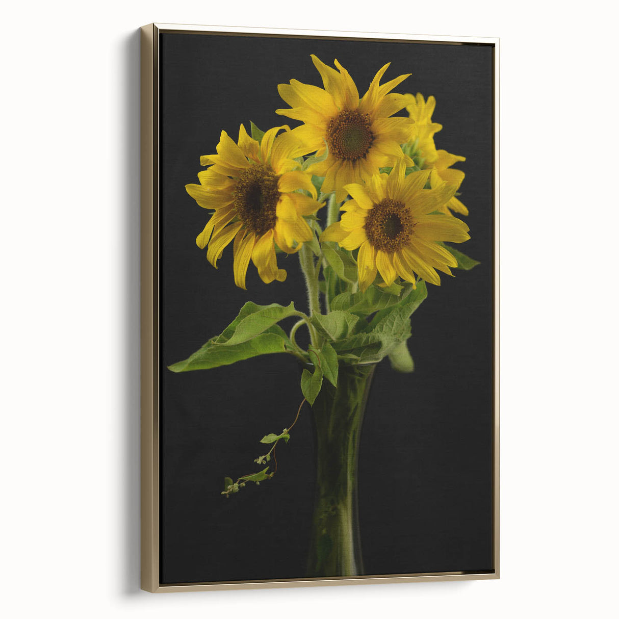Framed canvas wall art featuring a vibrant botanical sunflower design with a gold frame, showcasing intricate details and rich colors, ideal for home decor.