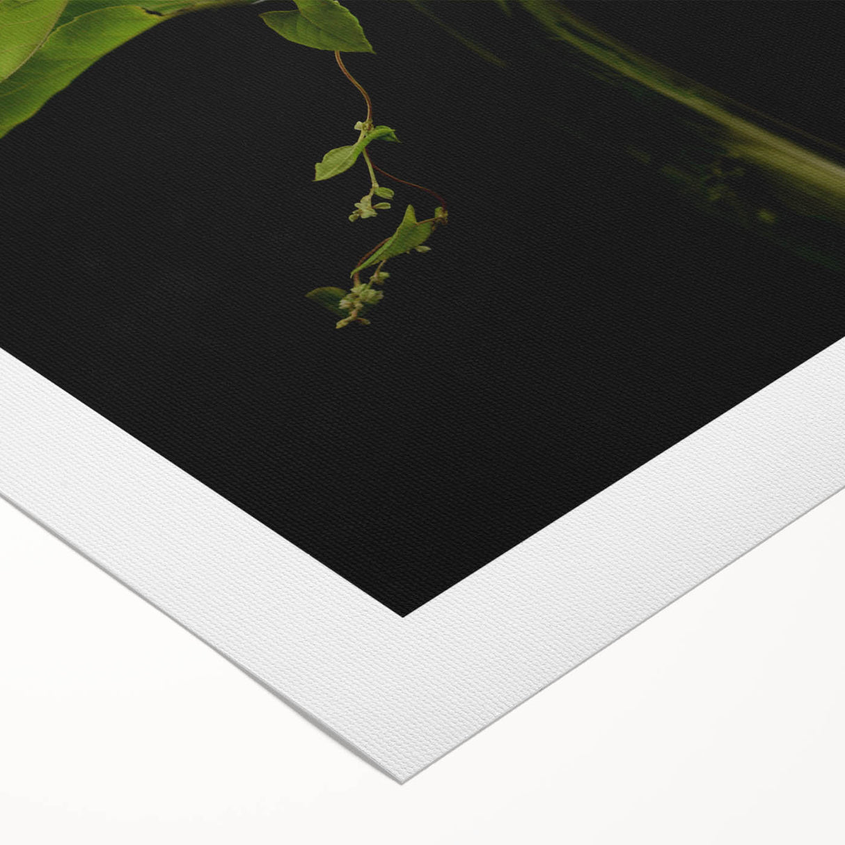 Vibrant botanical wall art featuring a detailed sunflower design on rolled canvas, perfect for home decor, showcasing bright yellow petals and lush green leaves.
