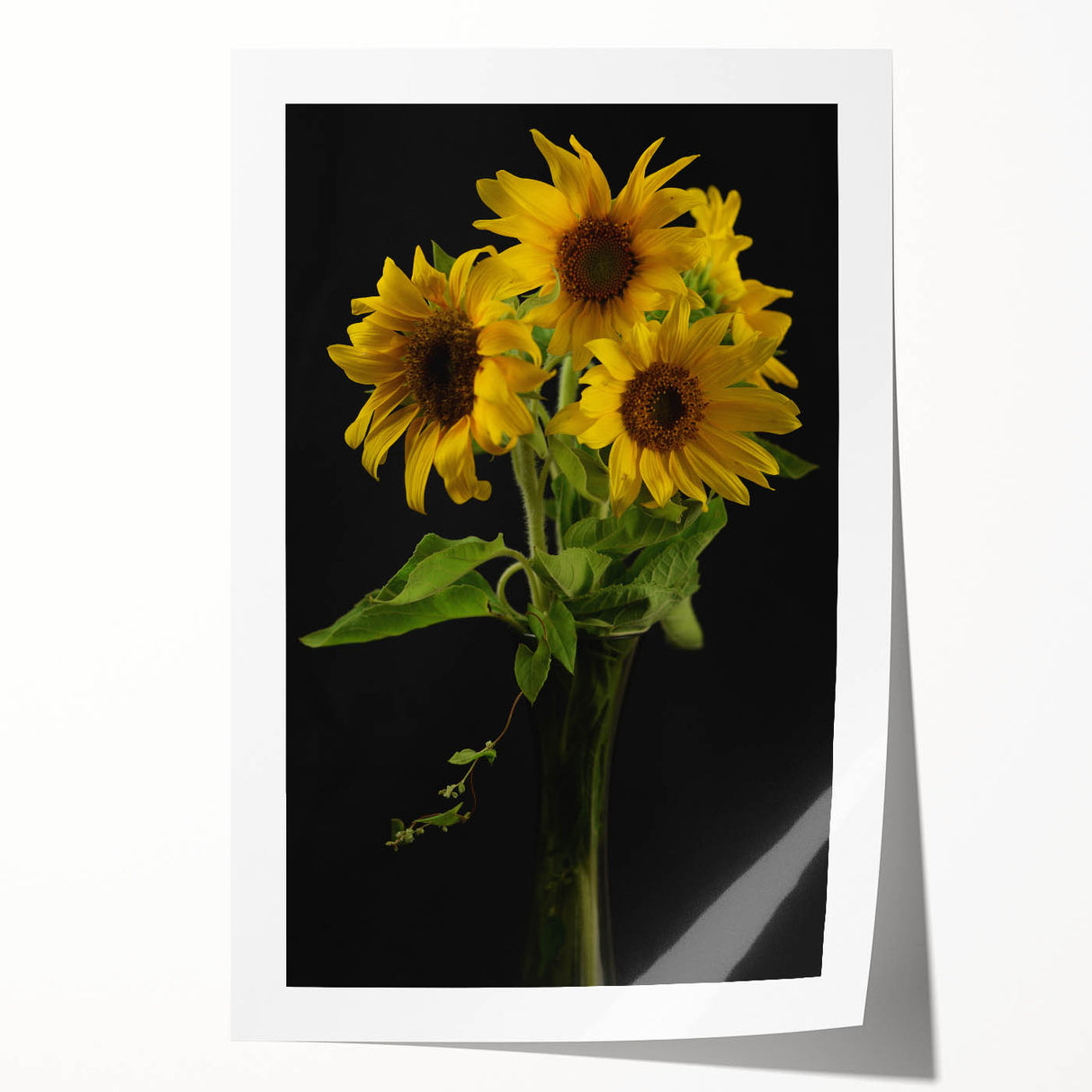 Vibrant botanical sunflower wall art print showcasing intricate details and a rich yellow hue, perfect for brightening any space, rolled and ready for framing.