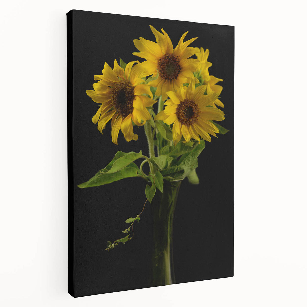 Stretched canvas artwork displaying a vibrant botanical sunflower design, showcasing intricate details and rich yellow hues, perfect for home decor.