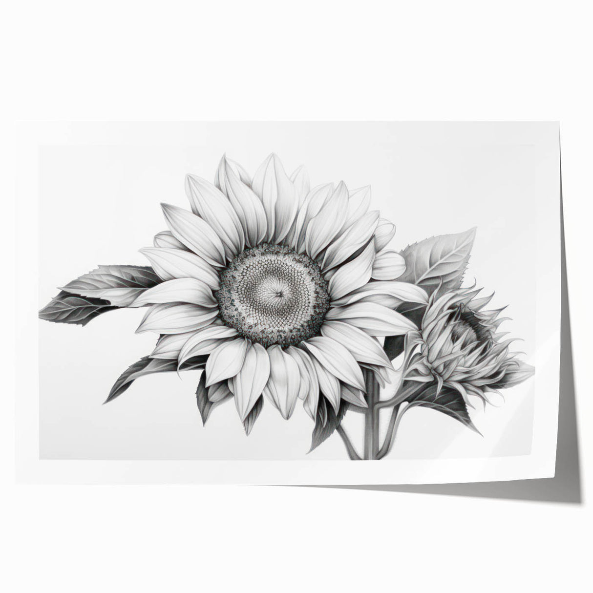 Vibrant botanical wall art print featuring a detailed sunflower design, showcasing rich yellows and greens, perfect for brightening any living space or office.