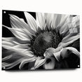 Acrylic glass wall art featuring a vibrant sunflower botanical design, showcased from the side with decorative pins, ideal for brightening home decor.