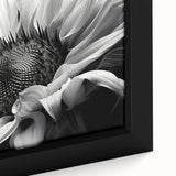 Close-up of a vibrant sunflower botanical design framed canvas wall art, showcasing intricate details and rich yellow hues, perfect for home decor.