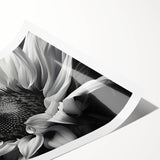 Vibrant botanical wall art showcasing a detailed sunflower design, printed on high-quality material, rolled and ready for framing, perfect for nature-inspired decor.