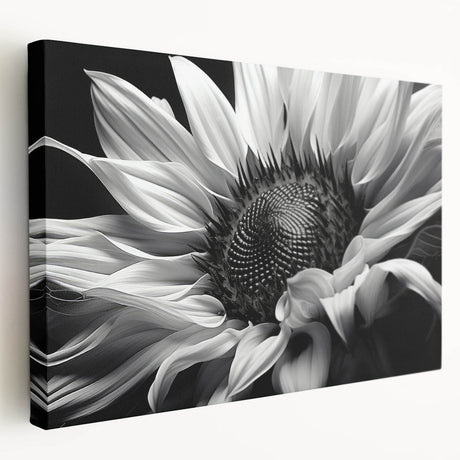Botanical sunflower wall art design on stretched canvas, showcasing vibrant yellow petals and intricate details, ideal for home decor enhancement.